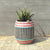 <b>VA 584</b> <br>MULTI-COLORED PLANTER IN ALUMINIUM FRAME AND WICKER