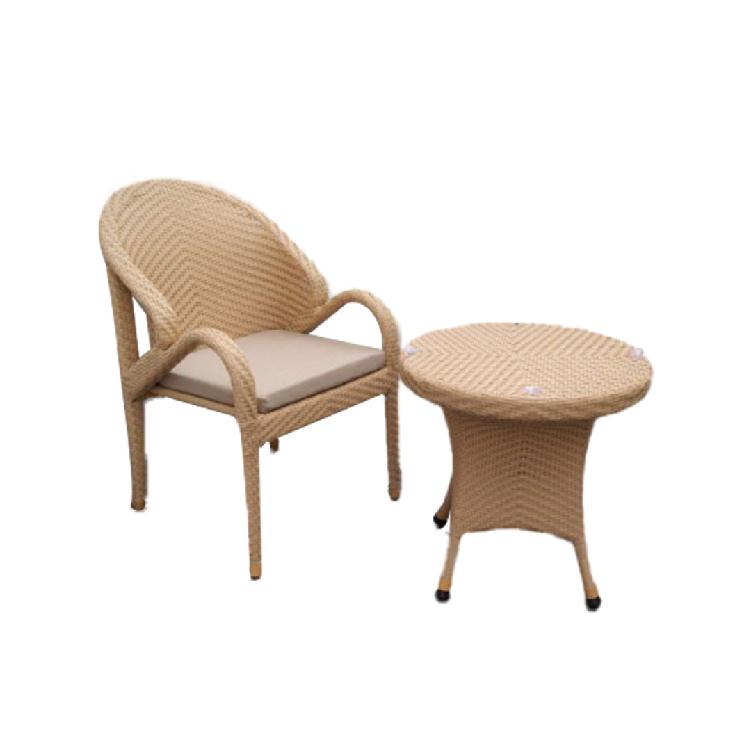 DINING CHAIR WITH BASE CUSHION <br>(VD 137)